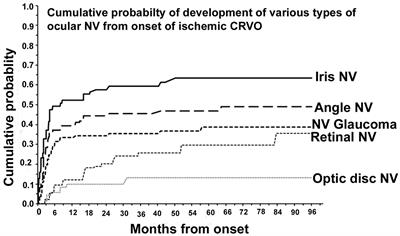 The progress of assessment methods and treatments of neovascular glaucoma secondary to central retinal vein occlusion